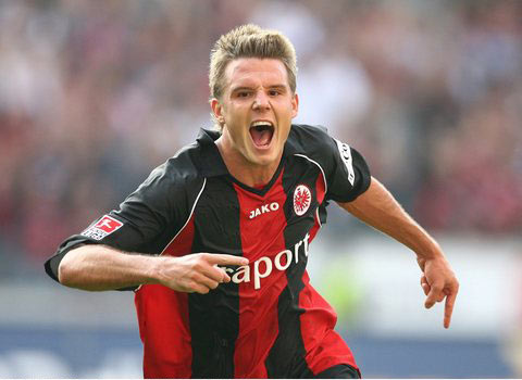 迷和关注西 迷和关注西